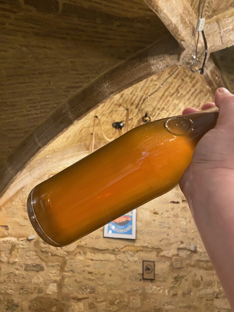 Selezione di vini